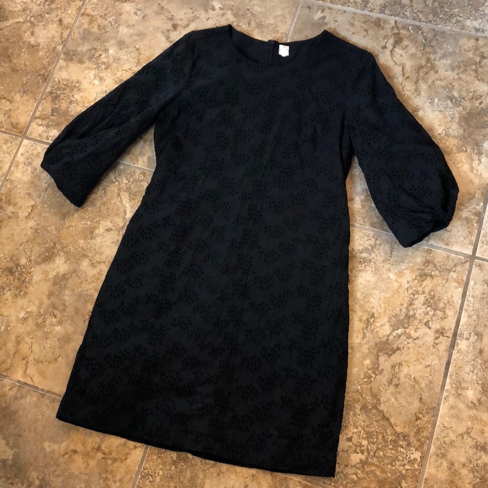 GAP A-line balloon sleeve eyelet dress
